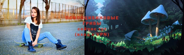 дурь Алексеевка