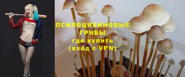 а пвп мука Покров