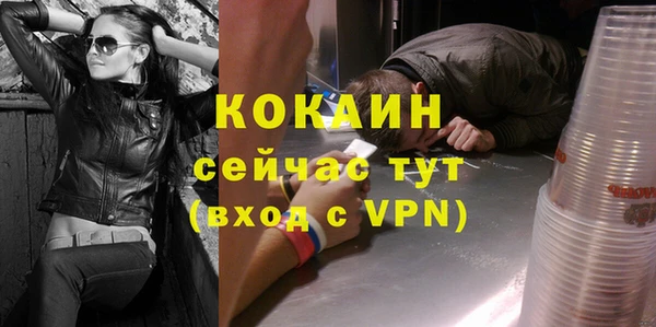 молекула духа Алексин